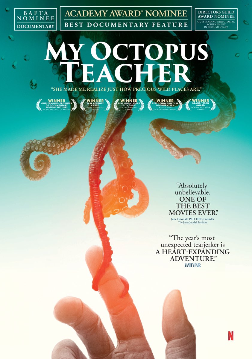 [Movie] My Octopus Teacher